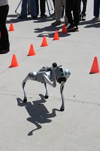 Empleados cuestionan uso de perros robot por ICE: ¿dónde termina la seguridad y empieza la vigilancia?