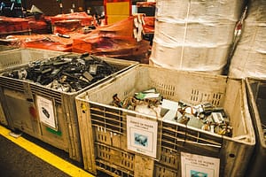 Día Mundial del Reciclaje: Samsung Chile supera su meta con más de 448 toneladas de e-waste recolectadas