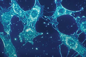 Una imagen microscópica premiada usó IA y abrió una pregunta incómoda: ¿cuándo mejorar datos se convierte en inventarlos?